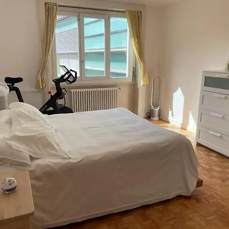 2 Bedroom Near And International Organisations Geneva